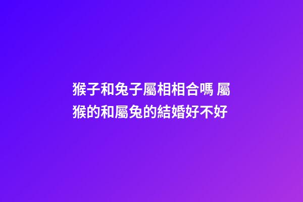 猴子和兔子屬相相合嗎 屬猴的和屬兔的結婚好不好
